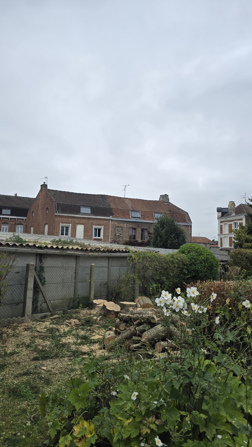 Après chantier conifère