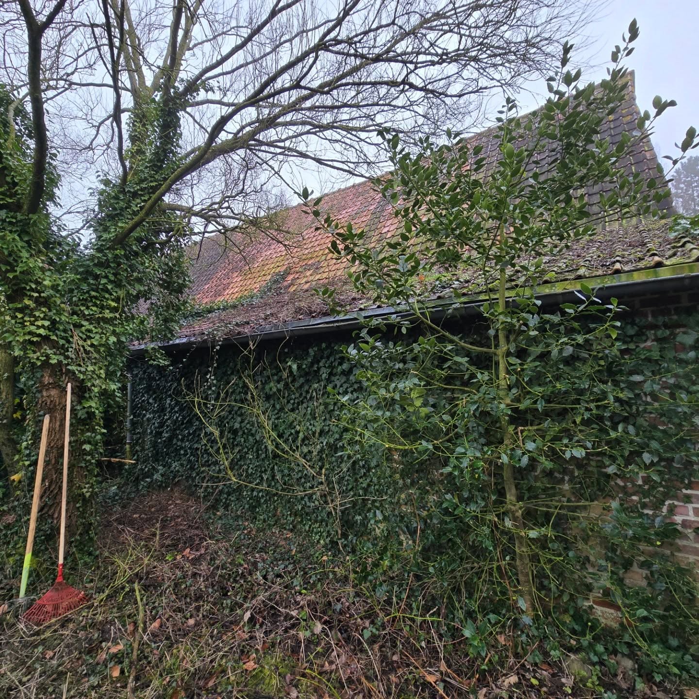 Avant chantier